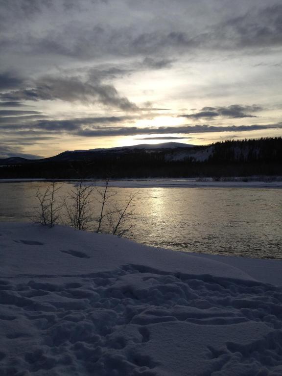 Vangorda Place B&B Whitehorse Exteriör bild
