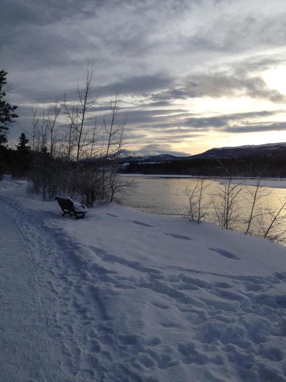 Vangorda Place B&B Whitehorse Exteriör bild